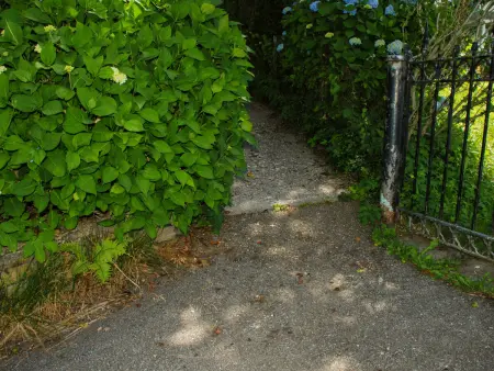 Baita Monti di Piazzogna, Maison 4 personnes à Piazzogna - Photo 33