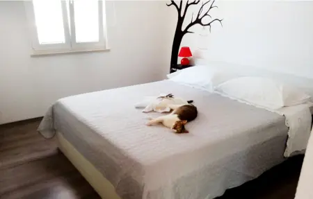 Maison 4 personnes à Supetar - Photo 21
