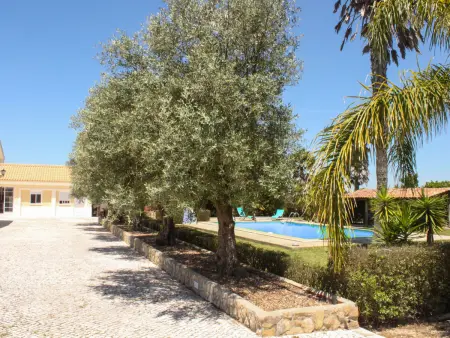 Quinta Dahlia, Maison 6 personnes à Pegões - Photo 20