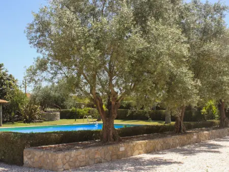 Quinta Dahlia, Maison 6 personnes à Pegões - Photo 21