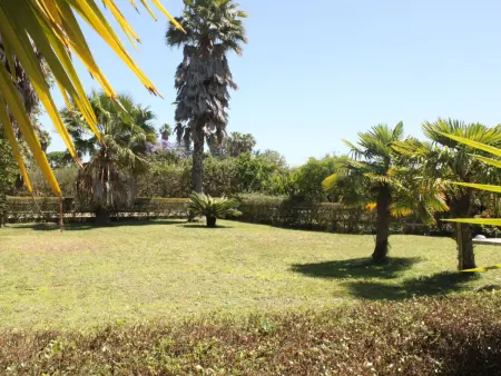 Quinta Dahlia, Maison 6 personnes à Pegões - Photo 22