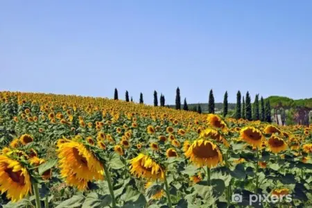Green Eden, Villa en Italie avec jardin privé - Photo 36