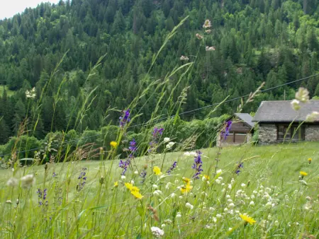 Rustico Enrico, Maison 5 personnes à Campo Blenio - Photo 11