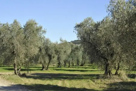 MAISON MONFORT, Villa de Charme à Saint-Geniès - Photo 20