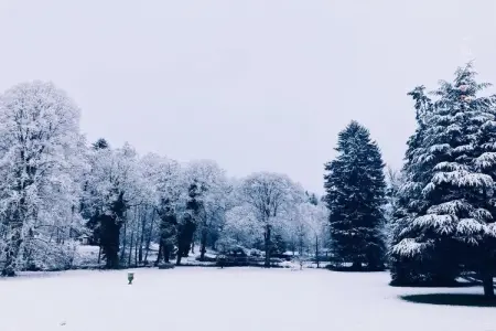 Château de Férot, Château à Ferrières avec Jardin et Étang - Photo 10