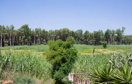Maison 6 personnes à Nicotera Marina - Photo 13