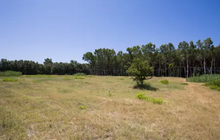 Maison 6 personnes à Nicotera Marina - Photo 32