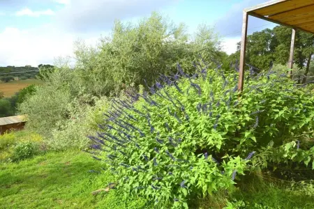 Riserva del Noce, Maison de vacances avec piscine - Photo 37