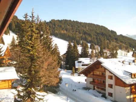 Armorial II / apt 6, Chalet 4 personnes à Villars - Photo 22