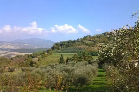 Villa La Felce, Appartement élégant avec piscine à Cetona - Photo 33