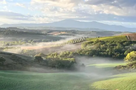 Il Bosco, Retraite de groupe avec jardin en Toscane - Photo 13