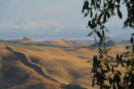 Il Bosco, Retraite de groupe avec jardin en Toscane - Photo 15