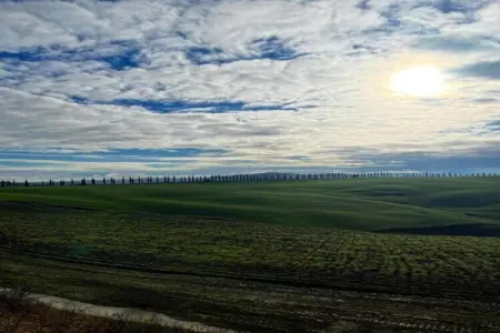 Il Bosco, Retraite de groupe avec jardin en Toscane - Photo 16