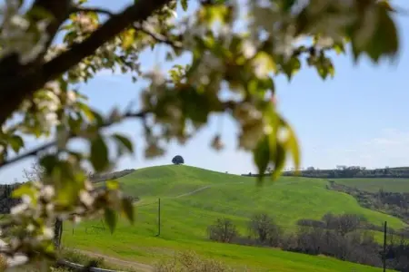 Il Bosco, Retraite de groupe avec jardin en Toscane - Photo 17