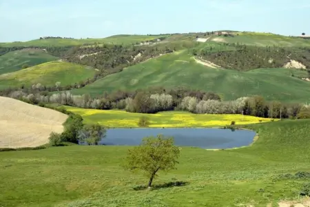 Il Bosco, Retraite de groupe avec jardin en Toscane - Photo 18