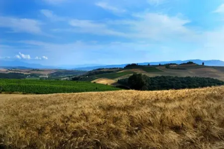 Il Bosco, Retraite de groupe avec jardin en Toscane - Photo 19