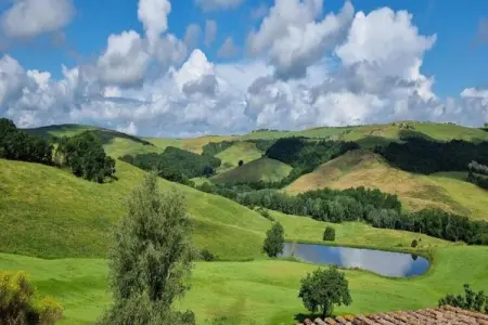 Il Bosco, Retraite de groupe avec jardin en Toscane - Photo 21