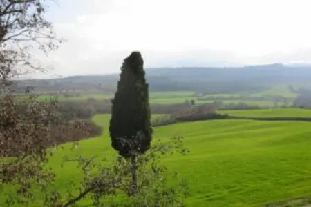 Poggio Casale, Maison de vacances toscane avec piscine - Photo 22