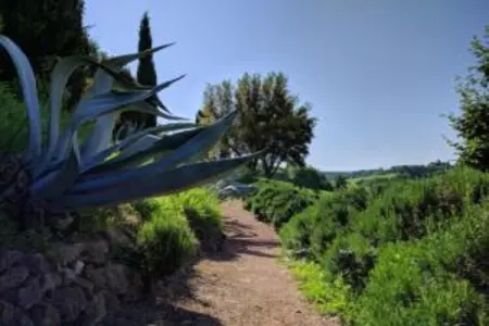 Poggio Casale, Maison de vacances toscane avec piscine - Photo 27