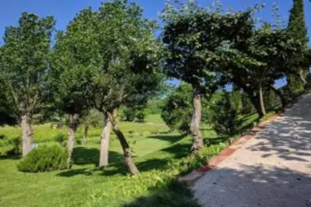Poggio Casale, Maison de vacances toscane avec piscine - Photo 28