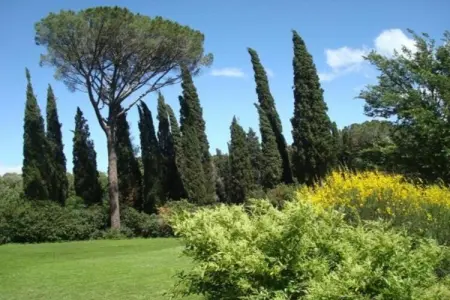 Poggio Casale, Maison de vacances toscane avec piscine - Photo 33