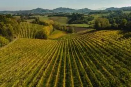Poggio Casale, Maison de vacances toscane avec piscine - Photo 36