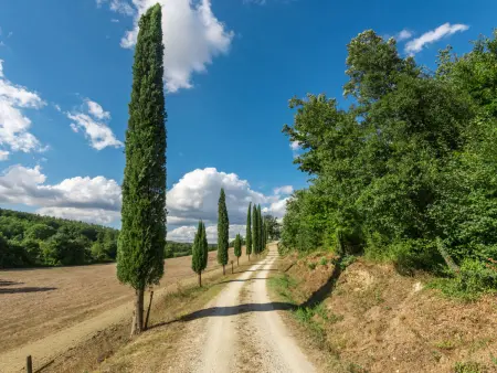 Casale Poggio Lupinaio, Gite 10 personnes à Manciano - Photo 35