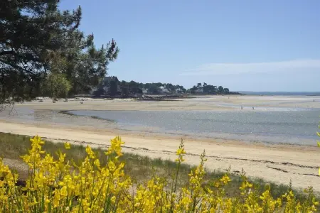holiday home Carnac, Maison à Carnac proche plage de sable - Photo 22