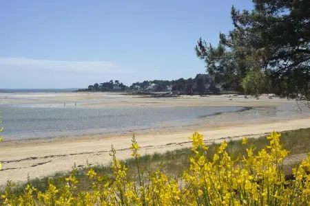 holiday home Carnac, Maison à Carnac proche plage de sable - Photo 30