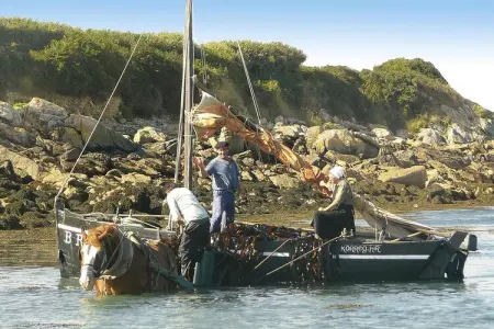 Steinhaus in unmitelbarer Meernähe Lannilis, Maison en Pierre en Bretagne près de la Mer - Photo 25