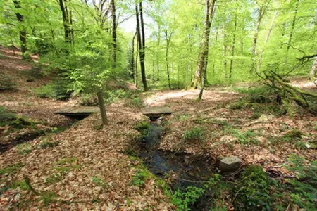holiday home Reipertswiller, Maison à Reipertswiller près du château - Photo 27