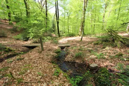 holiday home Reipertswiller, Maison dans les Vosges près du Château Lichtenberg - Photo 20