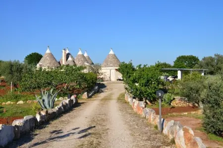 holiday home Cisternino-Trullo Ulivo Antico, Trulli à Valle d'Itra avec piscine et vue - Photo 17