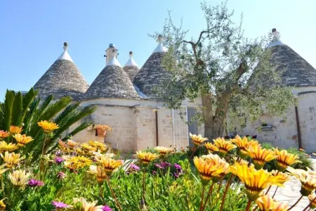 holiday home Cisternino-Trullo Ulivo Antico, Trulli à Valle d'Itra avec piscine et vue - Photo 21