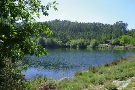 holiday home Vale de Cambra, Maison en Pierre près de la Rivière Caima - Photo 22