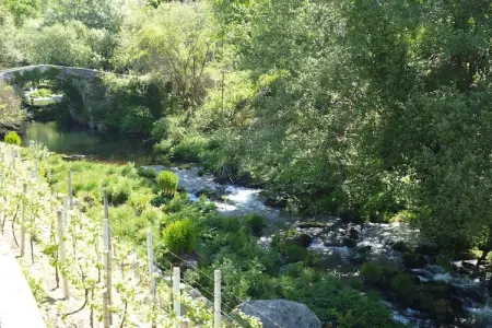 holiday home Vale de Cambra, Maison en Pierre près de la Rivière Caima - Photo 26