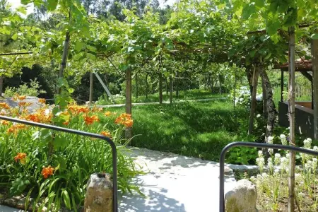 holiday home Vale de Cambra, Maison en Pierre près de la Rivière Caima - Photo 29