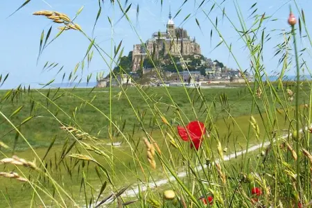 Semi-detached house St Martin-de-Bréhal, Maison près de Plage Mont St. Michel - Photo 17