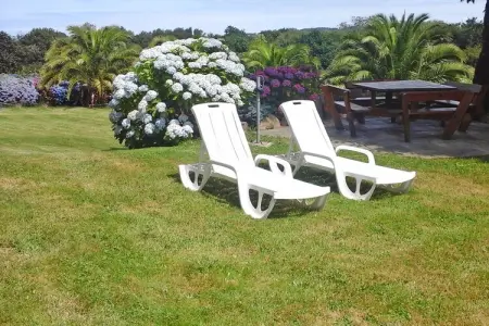 holiday home Buguélès-Penvénan, Maison en Bretagne proche de la plage - Photo 14