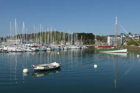 holiday home Perros-Guirec, Maison à Perros-Guirec proche des plages - Photo 33