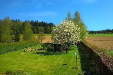 Le près fagnoux, Maison de vacances avec jacuzzi à Vielsalm - Photo 24
