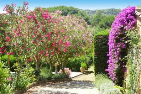 Doppelhaushälfte in Roquebrune-sur-Argens, Villa à Roquebrune vue mer et piscine - Photo 13