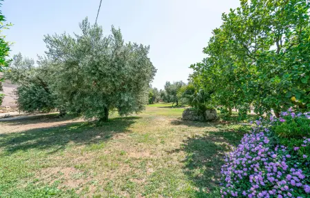 Maison 6 personnes à Sabaudia - Photo 20