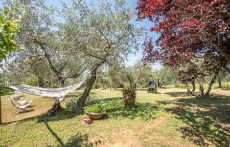 Casa Alfredo, Maison 4 personnes à Siena - Photo 5