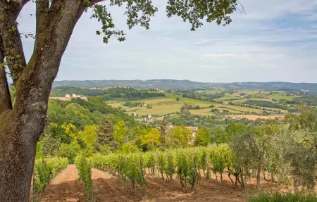 Casa Alfredo, Maison 4 personnes à Siena - Photo 27