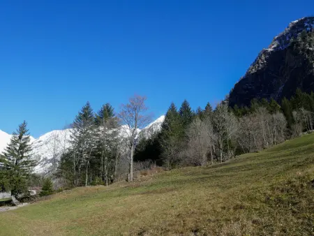 Rustico Stübii, Maison 2 personnes à Campo Blenio - Photo 14