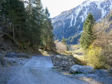 Rustico Stübii, Maison 2 personnes à Campo Blenio - Photo 17