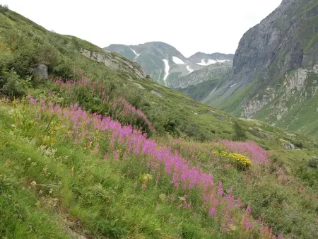 Rustico Stübii, Maison 2 personnes à Campo Blenio - Photo 31