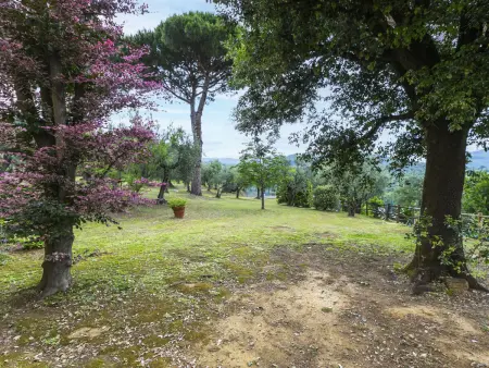 Tenuta San Lazzaro, Gite 10 personnes à Monsummano Terme - Photo 68