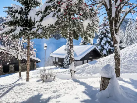 Le Cyclamen, Chalet 7 personnes à Champoussin - Photo 1